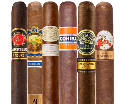 Best of 2025 Sampler