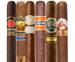 Best of 2025 Sampler