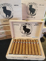 Black Cat Prive Rouge