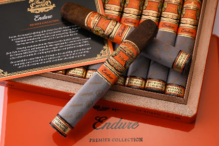Endure by Casa Carrillo