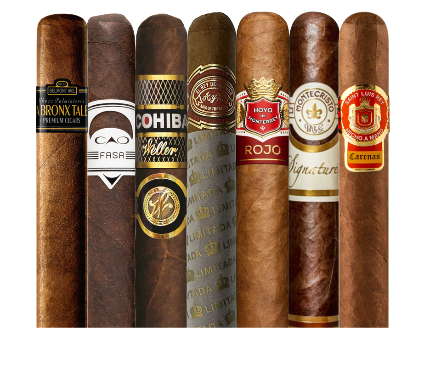 Best of 2024 Sampler